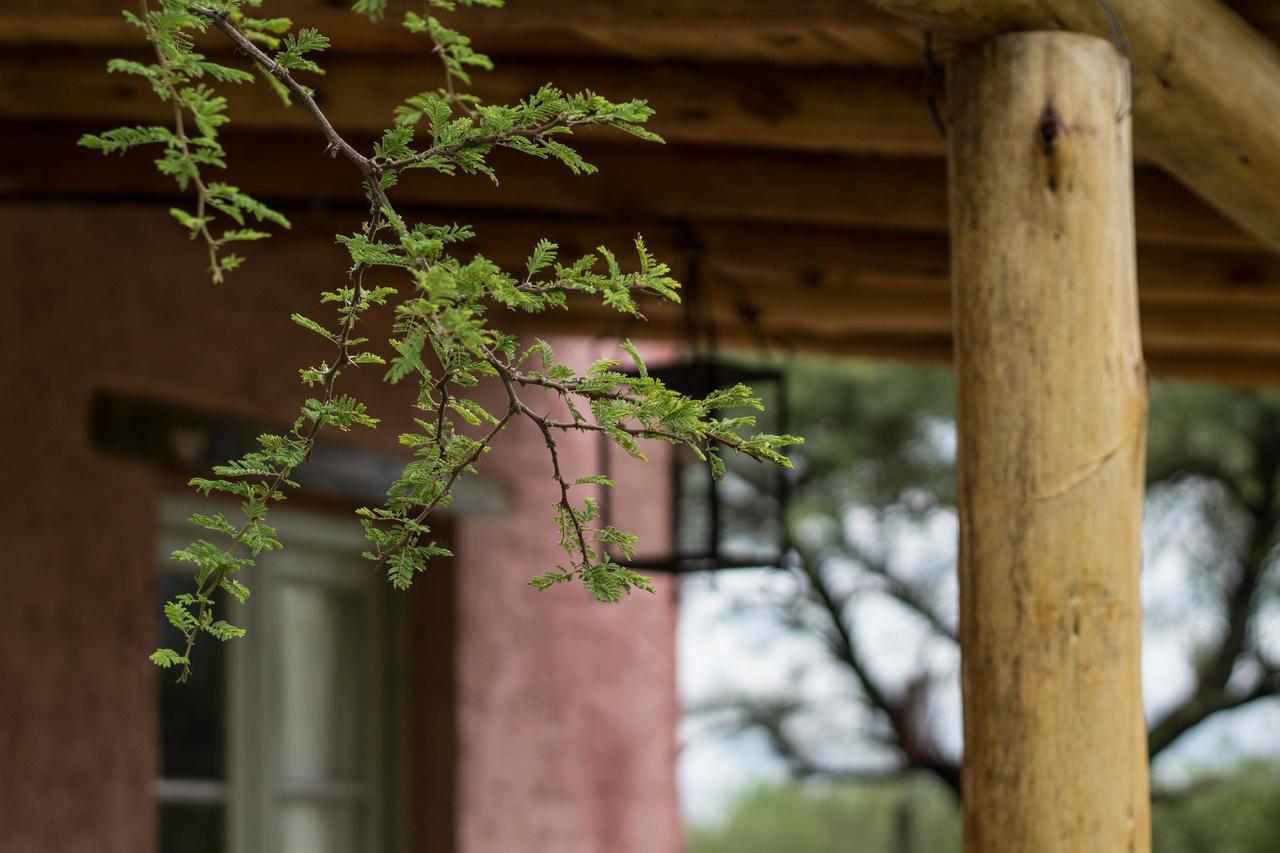 La Teresita Posada Hotel San Javier  Kültér fotó